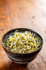 Sprouted green mung beans. Mung sprouts in bowl.