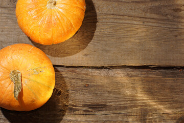 Two pumpkins lie on a wooden table lit by sunlight