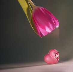 Pink tulip bud bent over pink heart-shaped candy