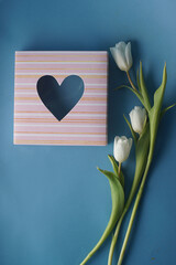White tulips box with heart shape on blue background