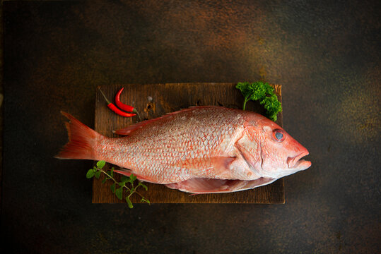 Pink-orange snapper fish 