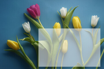 bouquet of tulips of different colors on a blue background with place for your text