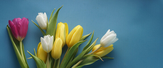 Obraz na płótnie Canvas Bright beautiful succulent tulips on a blue background