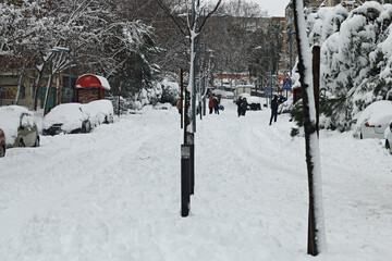 Big snowfall on a winter's day