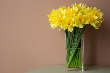 Lush bouquet of yellow daffodils (narcissus) in a rectangular vase on a pale pink background