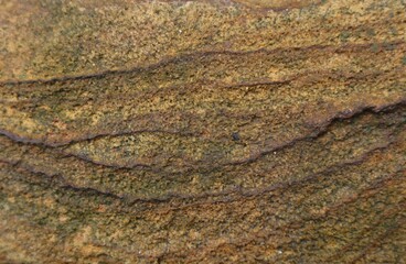 The texture of the sandstone, used for the background.
