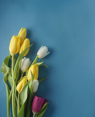 Bouquet with spring tulips of yellow white and pink color on a sea background