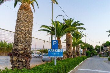 palm trees © PaciorekPaweł