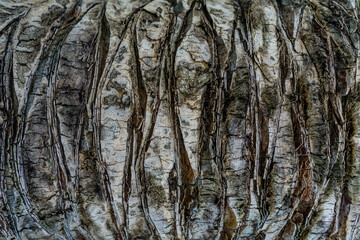 Obraz premium greece crete