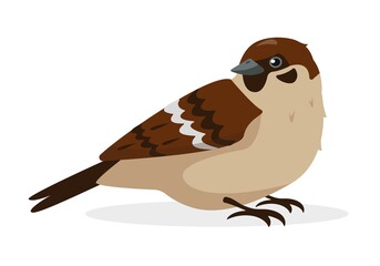 Sparrow bird icon isolated on white background.