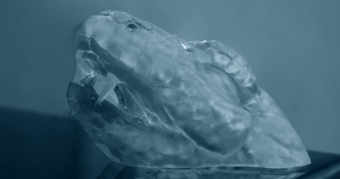 Objects photopolymer printed on stereolithography 3D printer,