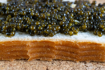 Black Caviar background. High quality real natural sturgeon black caviar close-up