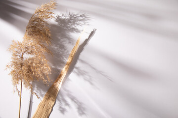 pampas grass on the table