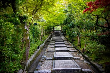 ancient path in japan