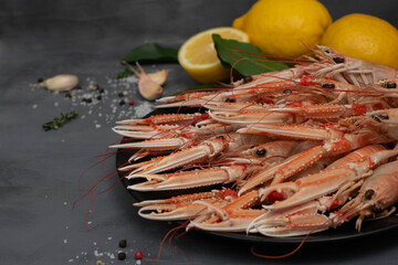 Boiled langoustines on black plate isolated on gray concrete table. Served with lemon and spicy herbs.