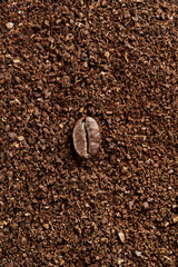 Macro view of single roasted coffee bean on texture of brown aromatic ground coffee background