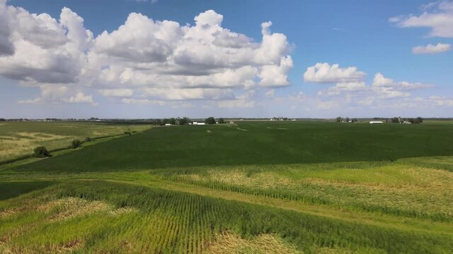 Aerial drone video wind damage to rural, agrarian agricultural crops and farmland in the midwest heartland of Iowa.