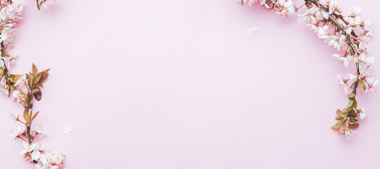 Spring background may flowers and April floral nature on pink background. Branches of blossoming apricot macro with soft focus. For easter and spring greeting cards with copy space. Springtime.