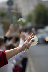 Elderly woman show fingers V sign and hold Gerbera flower in hand of on street background. Belarusian peaceful protest after presidential elections in Minsk, Belarus