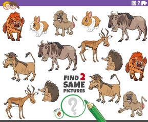find two same cartoon wild animals educational game