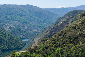Fototapeta na wymiar Sil river canyon between mountains in Ribeira Sacra