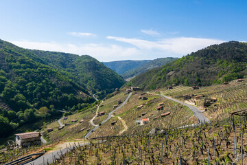 Fototapeta premium Beautiful scenery among mountains of vineyards in the Ribeira Sacra