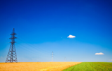 Electrical net of poles on a panorama of blue sky and wheat field