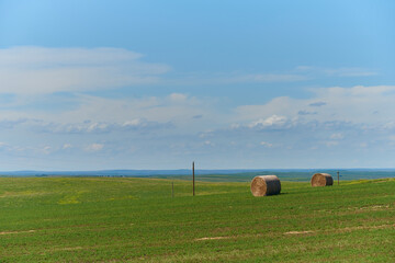 Green grass farmland in the Great Plains with Hay Rolls