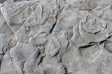Gray textured stone background close up. Natural stone background.Stone structure background close-up.