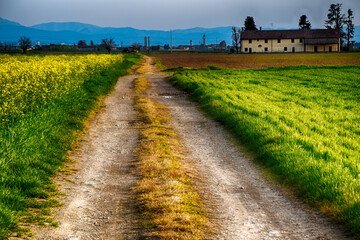 Stradine di campagna