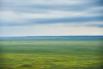 View over mixed grass prairie in Badlands National Park