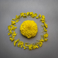 Yellow Illuminated flower with petals around on a gray surface