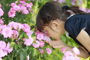 ピンクのバラの香りをかぐ幼児(5歳児)