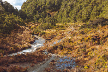 Tongariro National Park walkways 