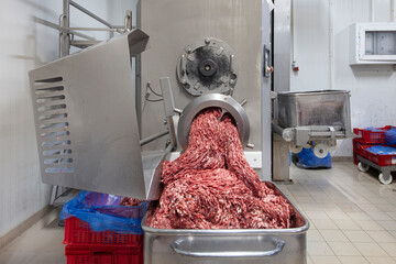 The meat in the Grinder. the meat industry. Minced meat being extruded from an industrial mincing...