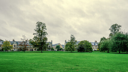 the park in the city