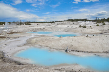 Ponds at Norris Geyser Basin in Yellowstone Park