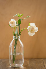Beautiful hyacinth flowers in glass vase on light blurred background