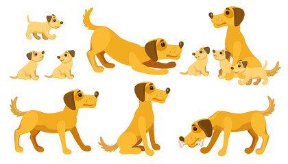 Dog and puppies in different states. Dog family character set. Labrador retriever family with puppies vetor illustration.