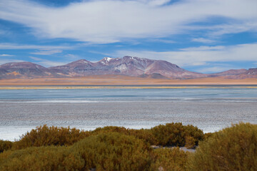 Atacama Desert. Chile.
