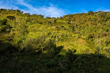 Obraz premium Montañas de Colombia