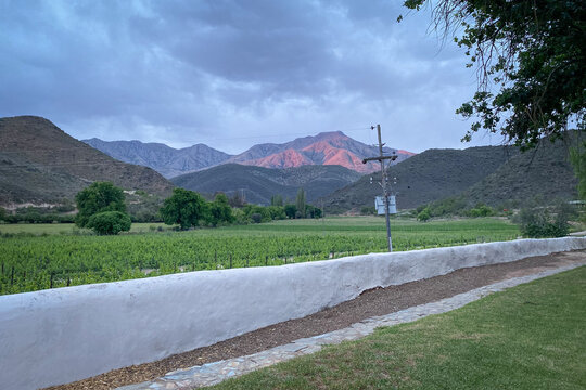 Scenic view of vineyard at Cangoo Valley near Oudtshoorn with Swartberg mountains in the background at sunset.