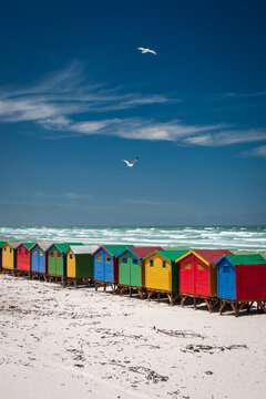 Famous colorful beach houses in Muizenberg near Cape Town, South Africa with Hottentots Holland mountains in the background.