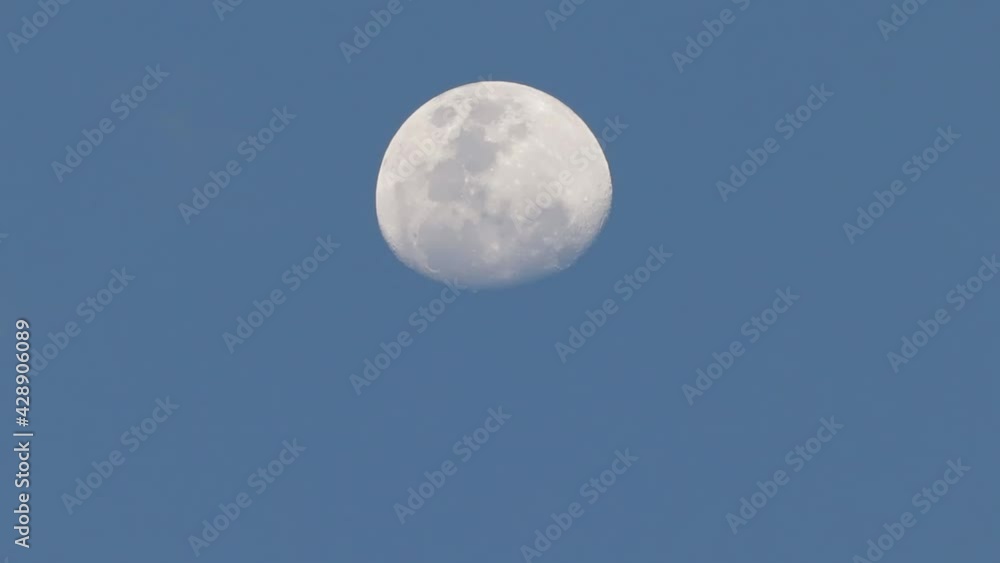 Canvas Prints the moon almost full in a dark blue sky with visible crators