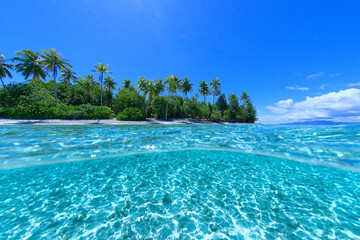 Fototapeta premium lagon translucide de Bora Bora, Polynesie francaise