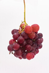 bunch of red grapes