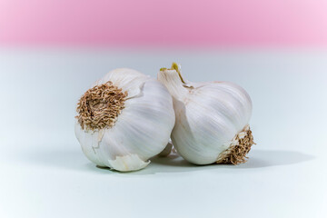 Garlic on a pink background