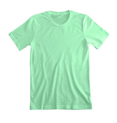 Very Light Green Tee Shirt Blank 