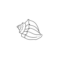 Seashell Icon in a Trendy Minimal Linear Style. Vector Illustration of a Seashell for Website, T-Shirt Print, Tattoo