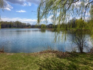 View on the pond from behind ivy tree in a city park